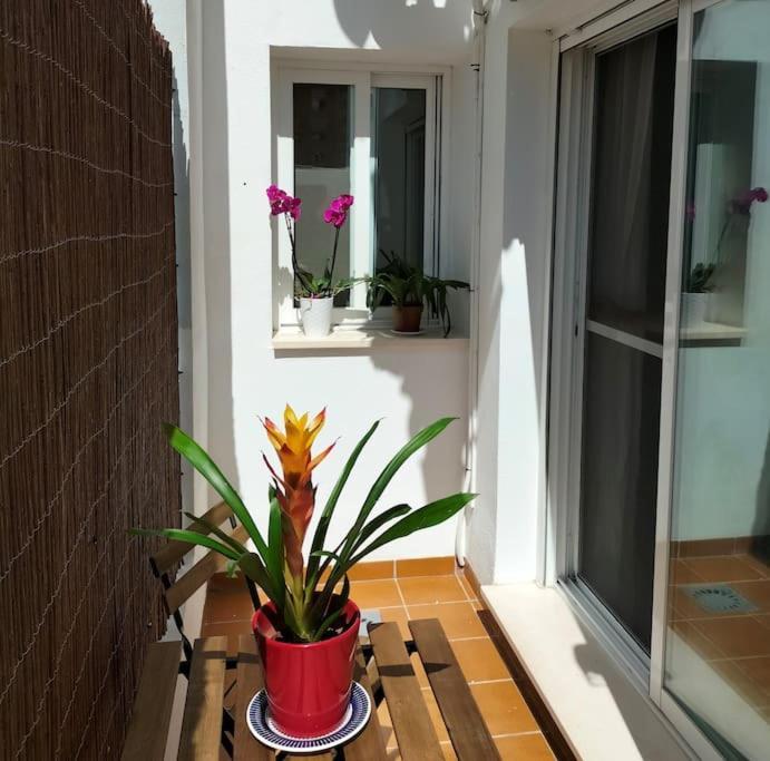 Estudio 52 Malaga Centrico Parking Gratuito Apartment Bagian luar foto